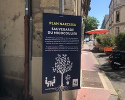 impression panneaux dibon montpellier 